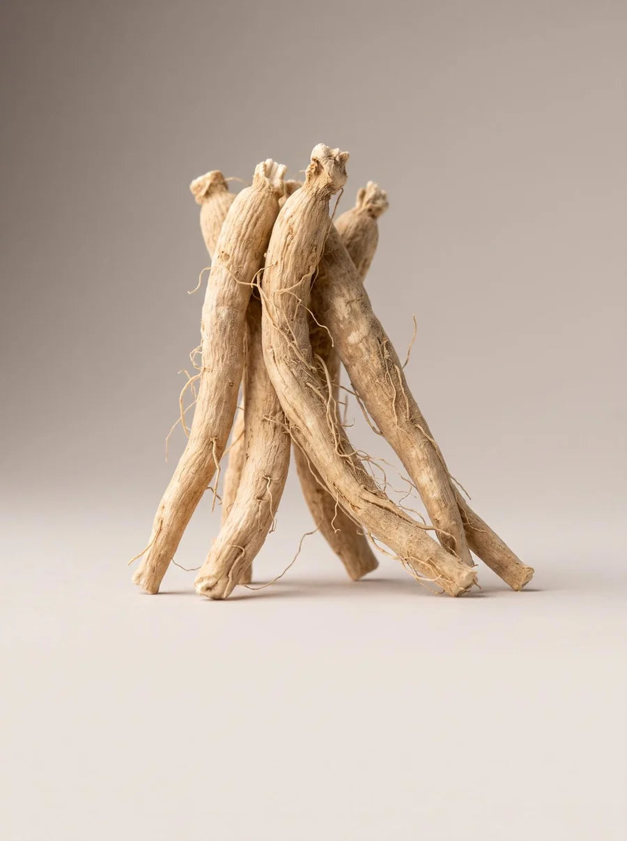 Racine d'ashwagandha
